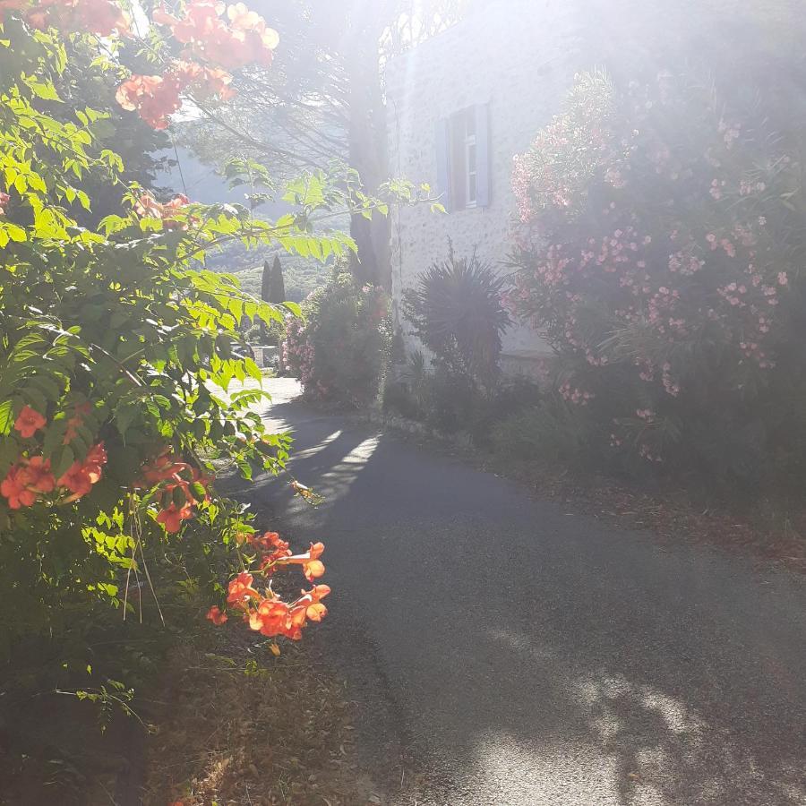 مبيت وإفطار Le Pegue Alma Bella المظهر الخارجي الصورة